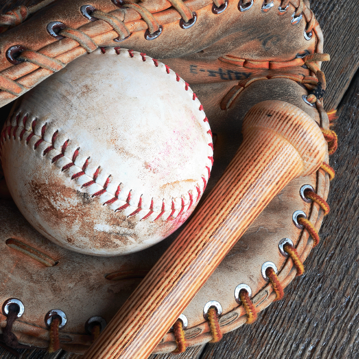 Sarna Baseball Baseball Glove Mitt Oil